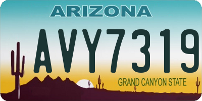 AZ license plate AVY7319