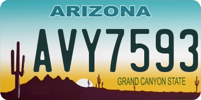 AZ license plate AVY7593