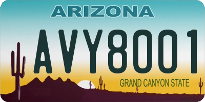 AZ license plate AVY8001