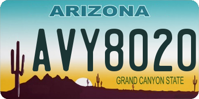 AZ license plate AVY8020
