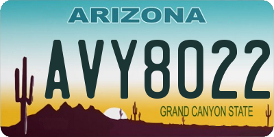 AZ license plate AVY8022