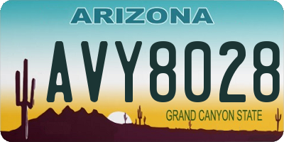 AZ license plate AVY8028