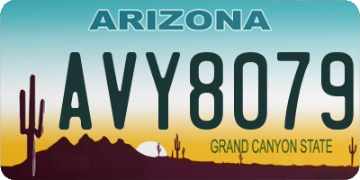 AZ license plate AVY8079