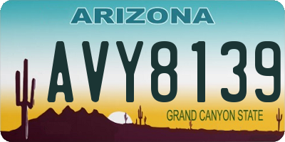 AZ license plate AVY8139