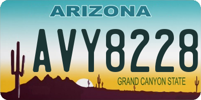AZ license plate AVY8228