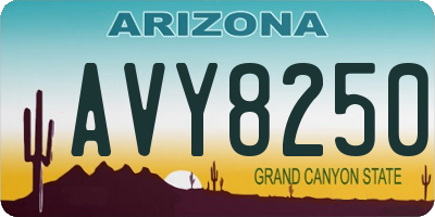 AZ license plate AVY8250