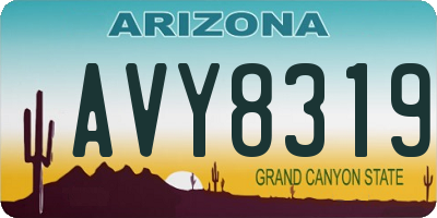 AZ license plate AVY8319