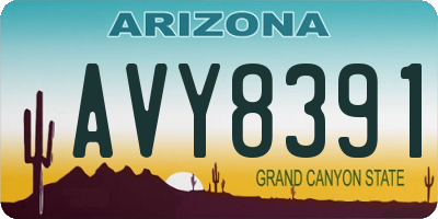 AZ license plate AVY8391