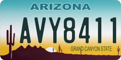 AZ license plate AVY8411