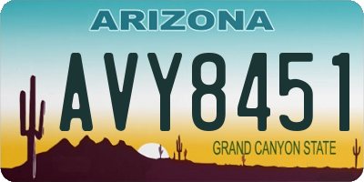 AZ license plate AVY8451