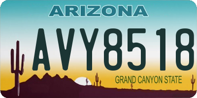 AZ license plate AVY8518