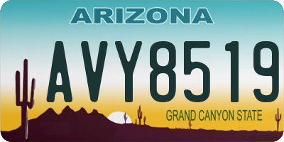 AZ license plate AVY8519