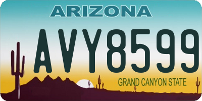 AZ license plate AVY8599