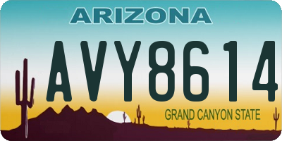 AZ license plate AVY8614