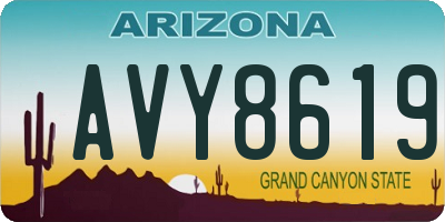 AZ license plate AVY8619