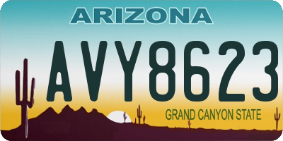 AZ license plate AVY8623