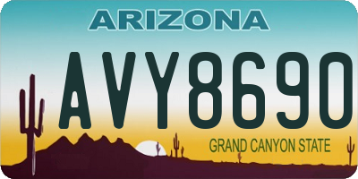 AZ license plate AVY8690