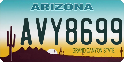 AZ license plate AVY8699