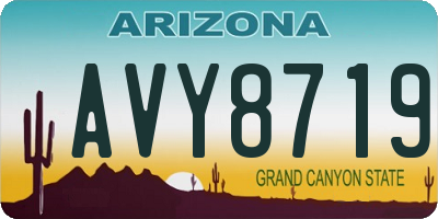 AZ license plate AVY8719
