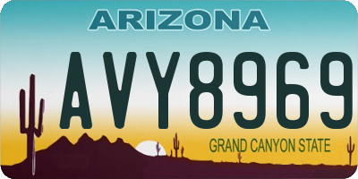AZ license plate AVY8969