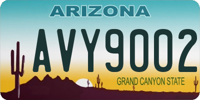 AZ license plate AVY9002
