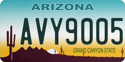 AZ license plate AVY9005