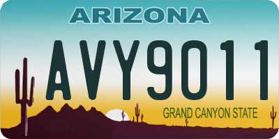 AZ license plate AVY9011