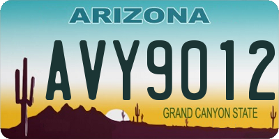 AZ license plate AVY9012