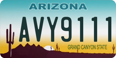 AZ license plate AVY9111