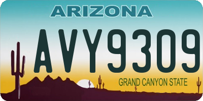 AZ license plate AVY9309