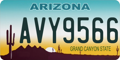 AZ license plate AVY9566