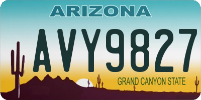 AZ license plate AVY9827