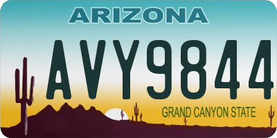 AZ license plate AVY9844