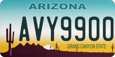 AZ license plate AVY9900