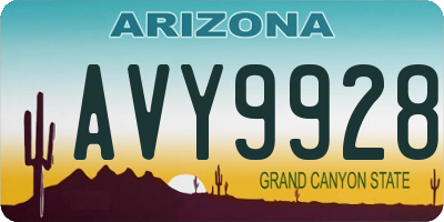 AZ license plate AVY9928