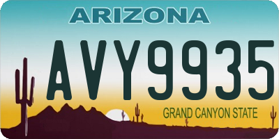 AZ license plate AVY9935