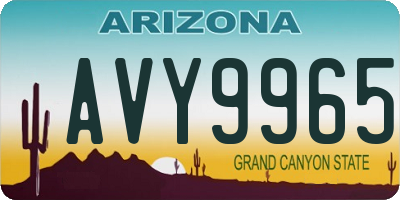 AZ license plate AVY9965