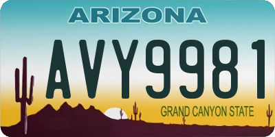 AZ license plate AVY9981