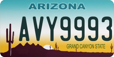AZ license plate AVY9993