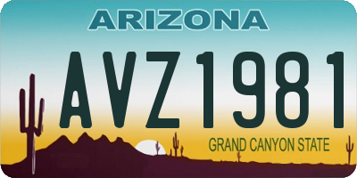 AZ license plate AVZ1981
