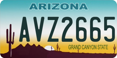 AZ license plate AVZ2665