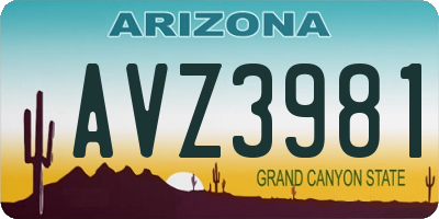 AZ license plate AVZ3981