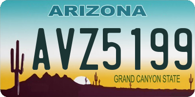 AZ license plate AVZ5199