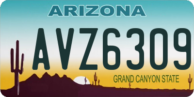 AZ license plate AVZ6309