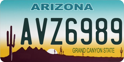 AZ license plate AVZ6989