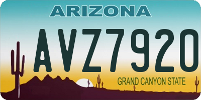 AZ license plate AVZ7920