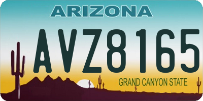 AZ license plate AVZ8165
