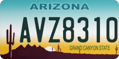 AZ license plate AVZ8310