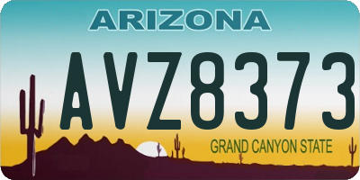 AZ license plate AVZ8373