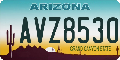 AZ license plate AVZ8530